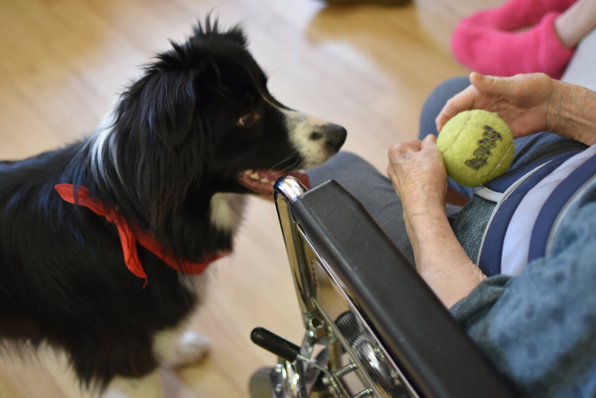 Zdroje financování: