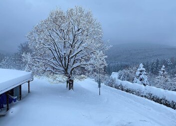 Děkujeme dnešnímu statečnému týmu 